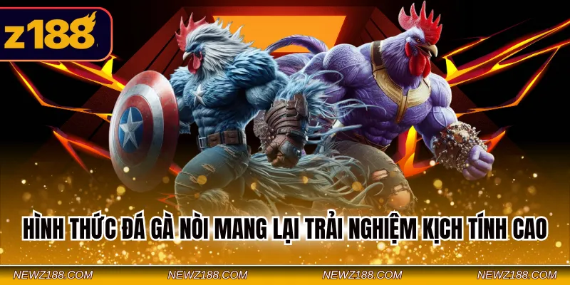 Hình thức đá gà nòi mang lại trải nghiệm kịch tính cao