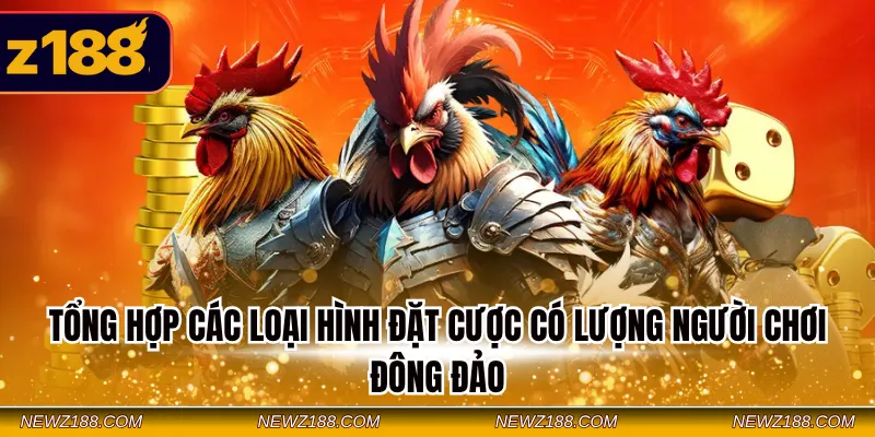 Tổng hợp các loại hình đặt cược có lượng người chơi đông đảo
